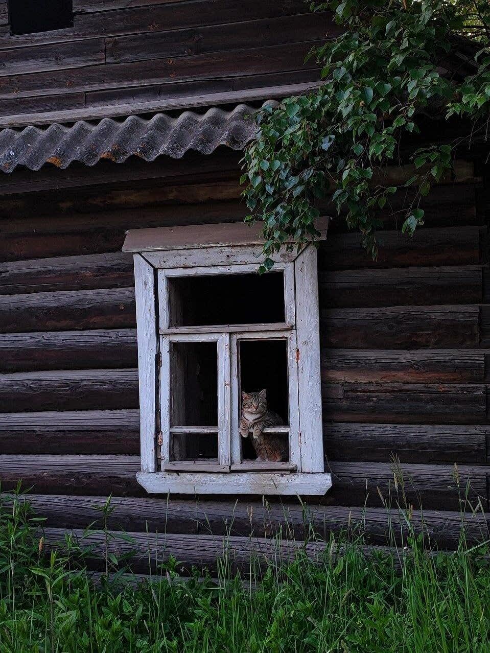 старое окно в доме